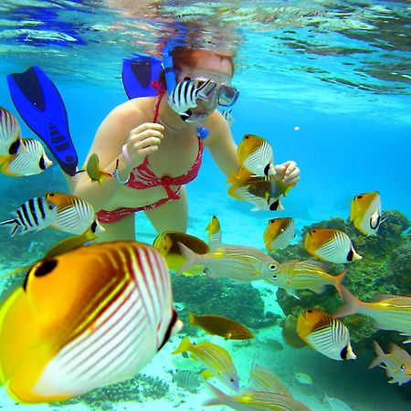 Sanctuary Rarotonga On The Beach (Adults Only) ภายนอก รูปภาพ