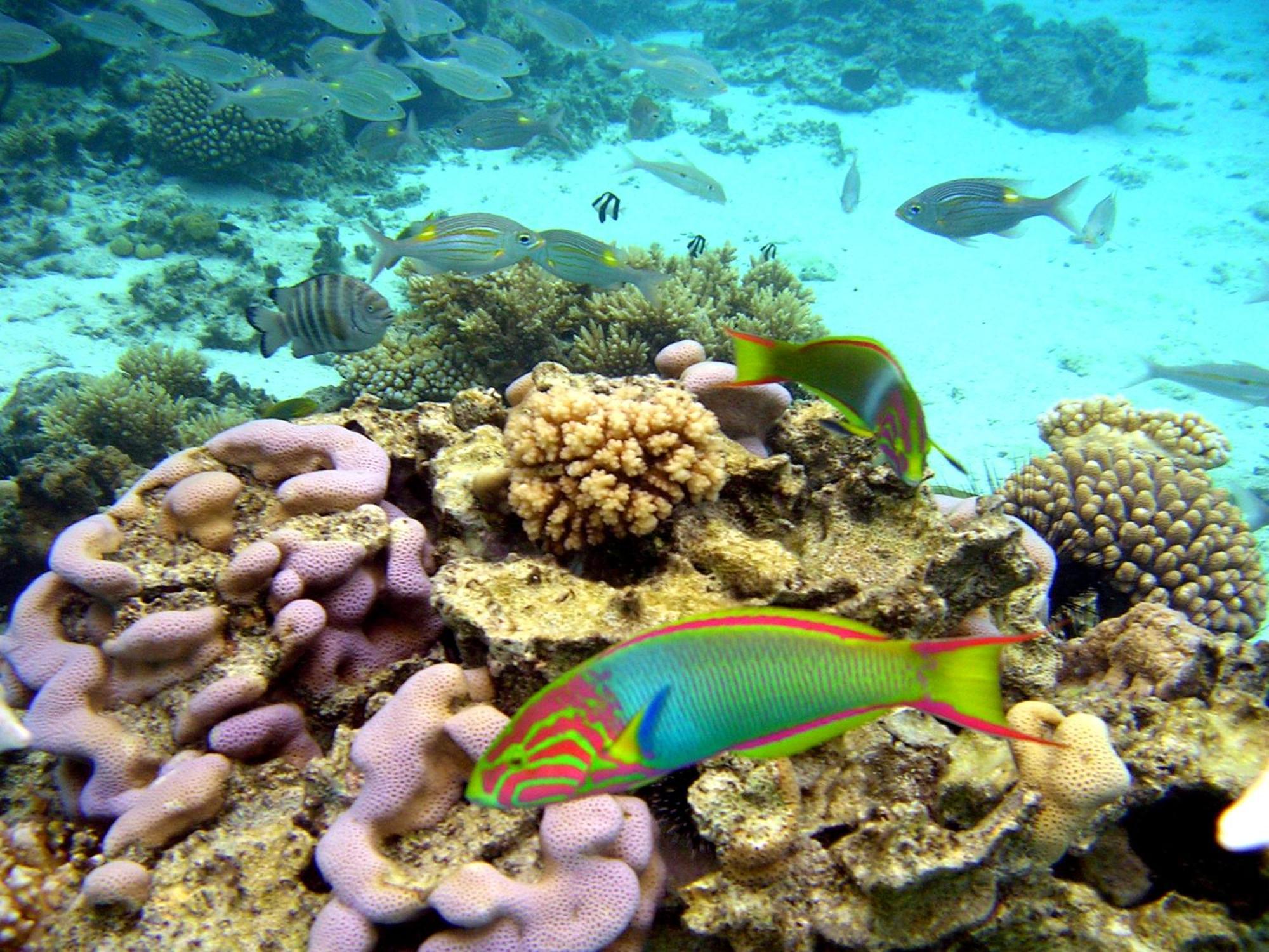 Sanctuary Rarotonga On The Beach (Adults Only) ภายนอก รูปภาพ