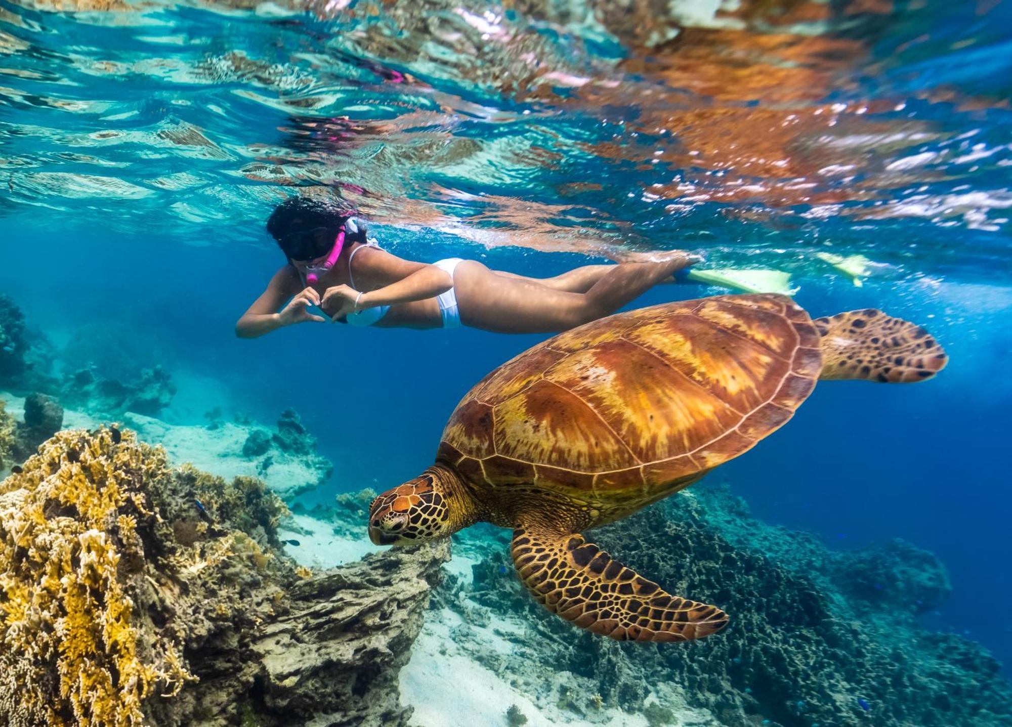 Sanctuary Rarotonga On The Beach (Adults Only) ภายนอก รูปภาพ